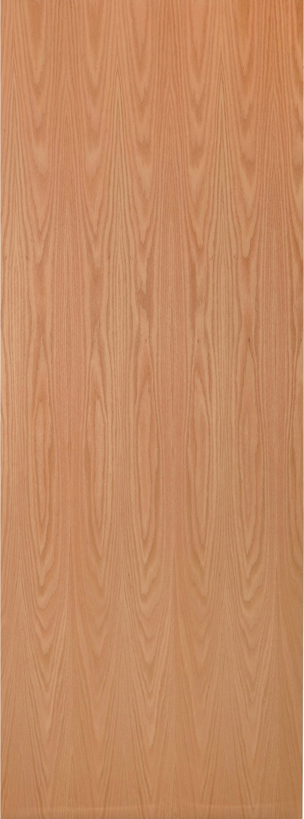 Door Image
